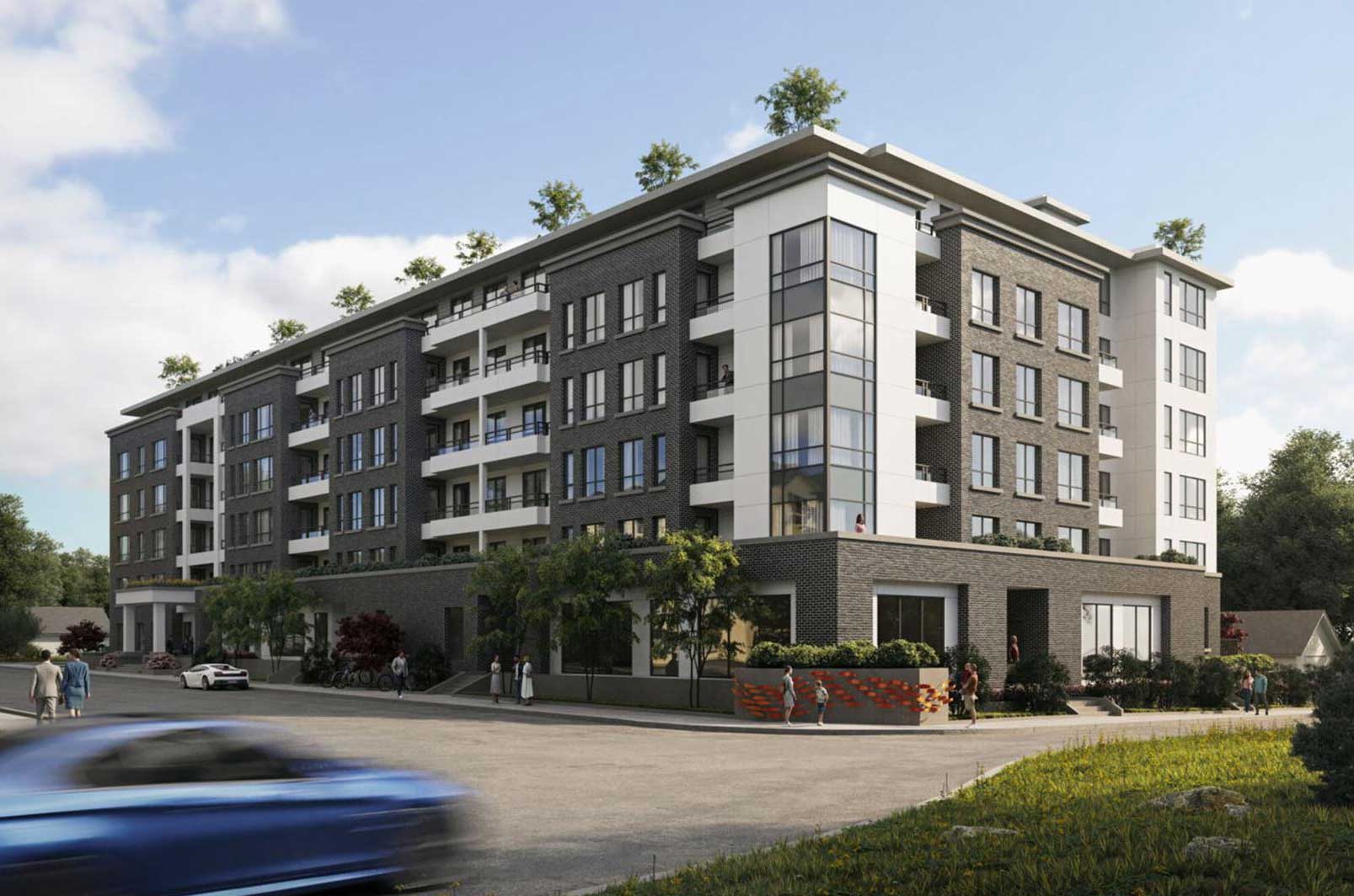 Belvedere Rentals