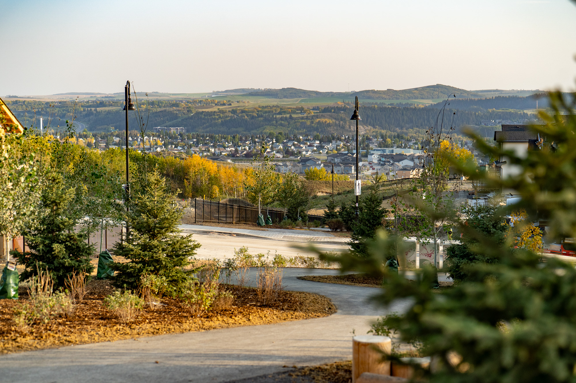 West Hawk - Image 6